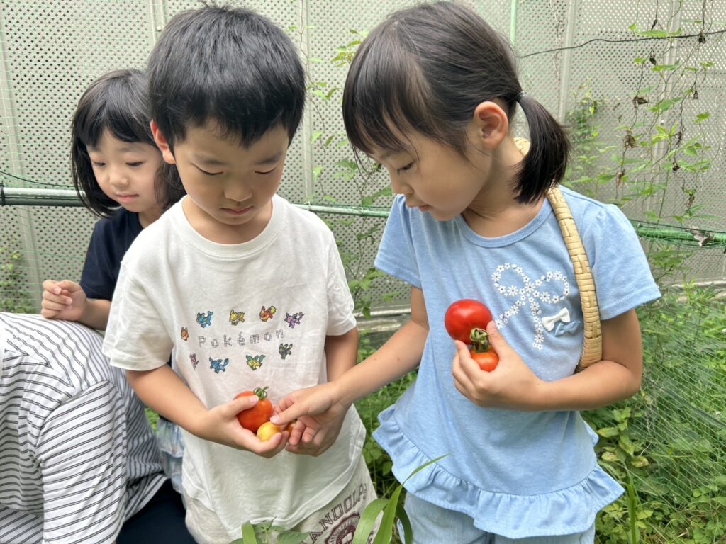 画像に alt 属性が指定されていません。ファイル名: IMG_6455-1024x768.jpg